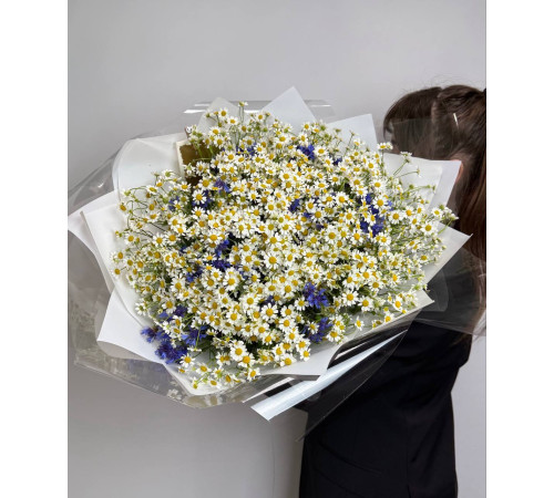 Полевые цветы