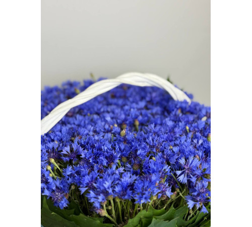 Корзинка васильков