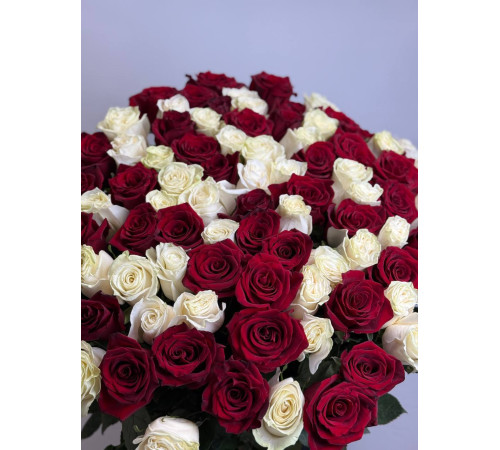 1000 и одна ночь