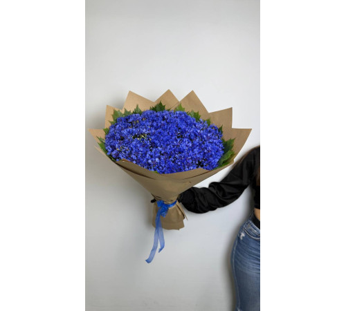 Небесная Лазурь