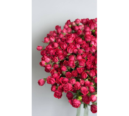 Вишневое сердце