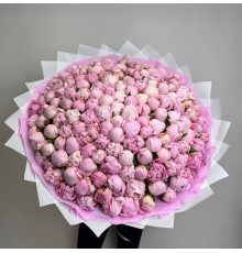 Потрясающая Сара