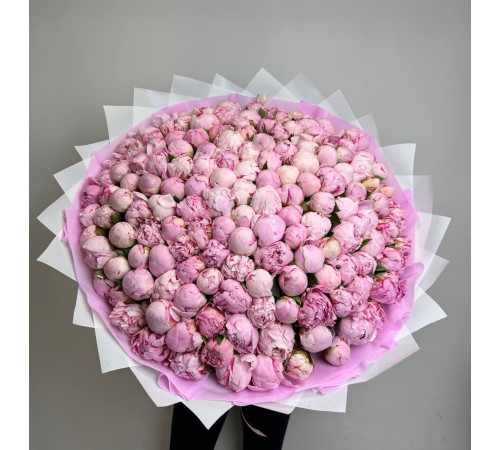 Потрясающая Сара