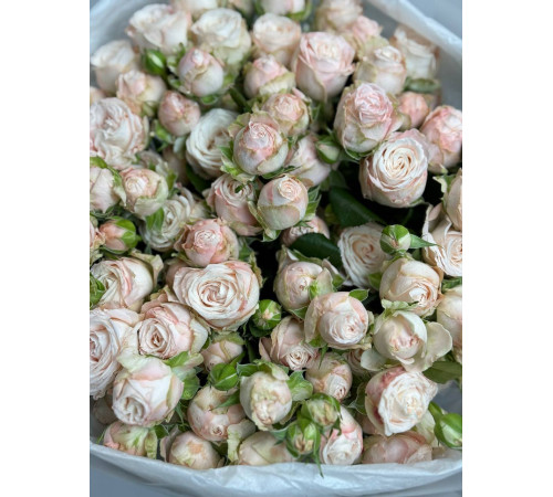 Молочная нежность