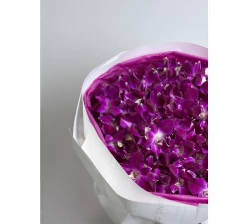 Танец орхидей