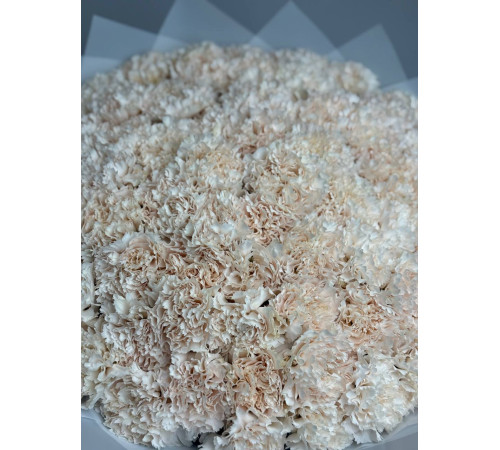 Кремовое облако