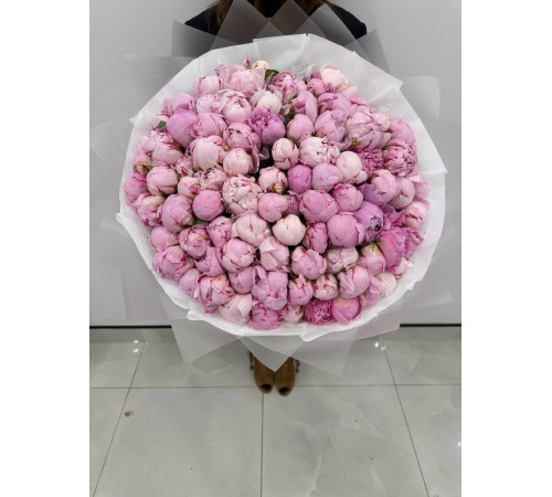 Сара Бернар