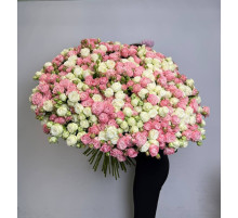 Рассветная нега