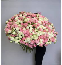 Рассветная нега