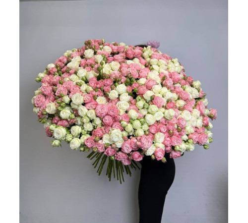 Рассветная нега