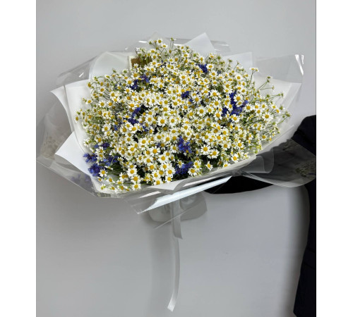 Полевые цветы